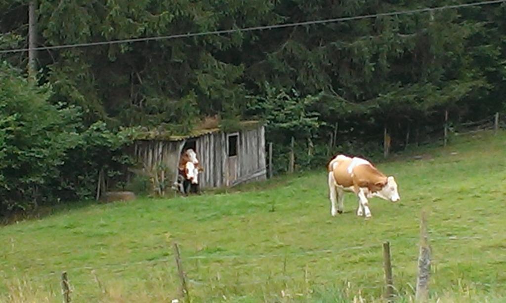Martina Frey Ferienwohnungen Baiersbronn Exterior foto
