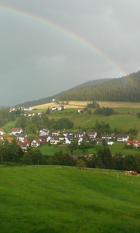 Martina Frey Ferienwohnungen Baiersbronn Exterior foto