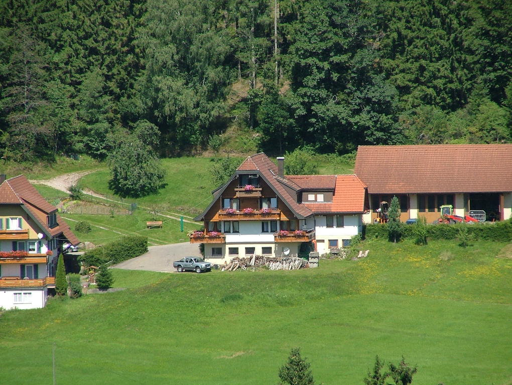 Martina Frey Ferienwohnungen Baiersbronn Exterior foto